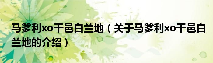 马爹利xo干邑白兰地（关于马爹利xo干邑白兰地的介绍）