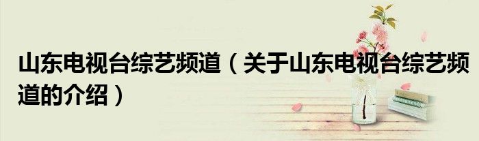 山东电视台综艺频道（关于山东电视台综艺频道的介绍）