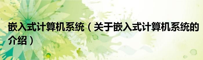 嵌入式计算机系统（关于嵌入式计算机系统的介绍）