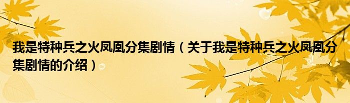 我是特种兵之火凤凰分集剧情（关于我是特种兵之火凤凰分集剧情的介绍）