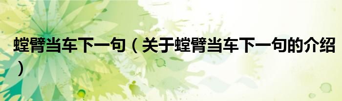 螳臂当车下一句（关于螳臂当车下一句的介绍）