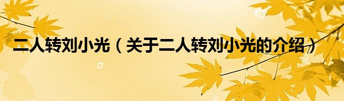 二人转刘小光（关于二人转刘小光的介绍）