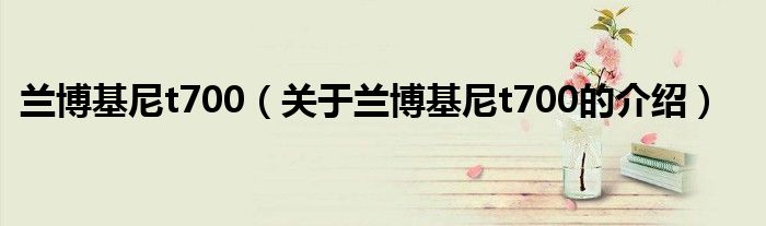 兰博基尼t700（关于兰博基尼t700的介绍）