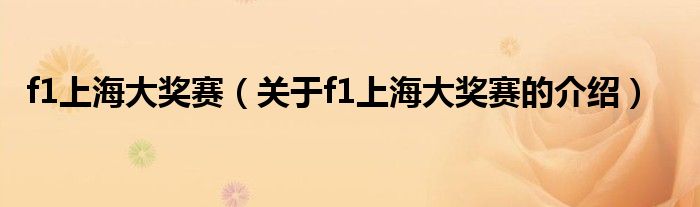 f1上海大奖赛（关于f1上海大奖赛的介绍）