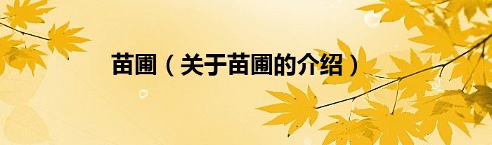 苗圃（关于苗圃的介绍）