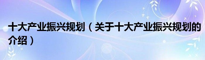 十大产业振兴规划（关于十大产业振兴规划的介绍）