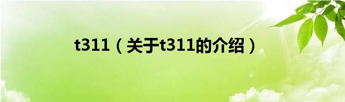 t311（关于t311的介绍）