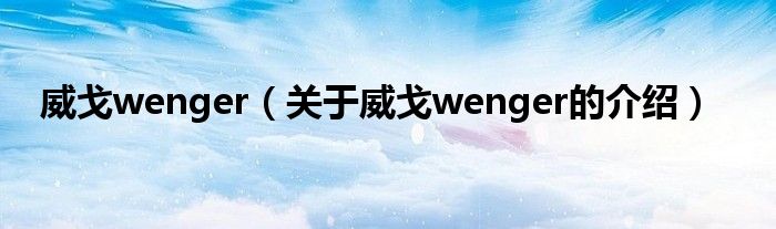 威戈wenger（关于威戈wenger的介绍）