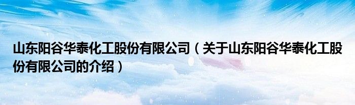 山东阳谷华泰化工股份有限公司（关于山东阳谷华泰化工股份有限公司的介绍）