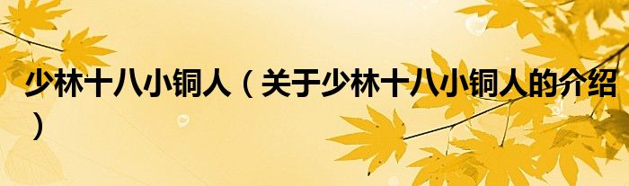 少林十八小铜人（关于少林十八小铜人的介绍）