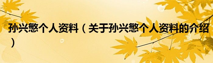 孙兴慜个人资料（关于孙兴慜个人资料的介绍）