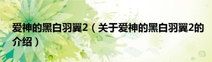 爱神的黑白羽翼2（关于爱神的黑白羽翼2的介绍）