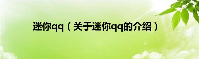 迷你qq（关于迷你qq的介绍）
