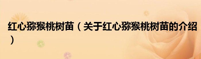 红心猕猴桃树苗（关于红心猕猴桃树苗的介绍）
