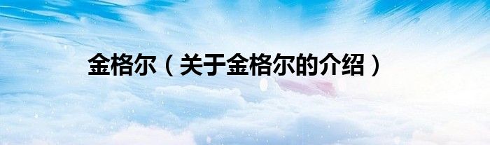 金格尔（关于金格尔的介绍）