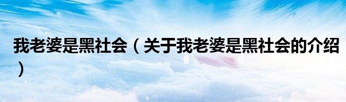 我老婆是黑社会（关于我老婆是黑社会的介绍）