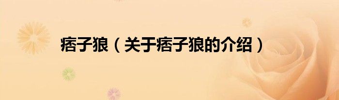 痞子狼（关于痞子狼的介绍）