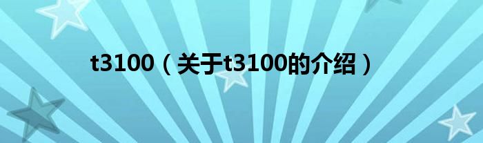 t3100（关于t3100的介绍）
