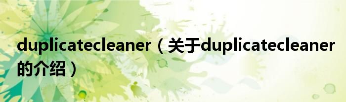 duplicatecleaner（关于duplicatecleaner的介绍）