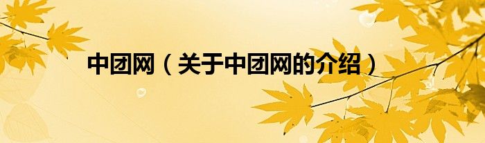 中团网（关于中团网的介绍）