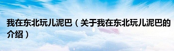 我在东北玩儿泥巴（关于我在东北玩儿泥巴的介绍）