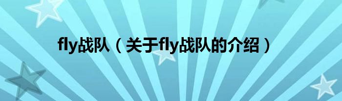 fly战队（关于fly战队的介绍）