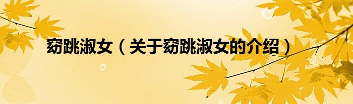 窈跳淑女（关于窈跳淑女的介绍）