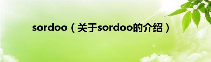 sordoo（关于sordoo的介绍）