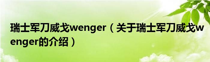 瑞士军刀威戈wenger（关于瑞士军刀威戈wenger的介绍）