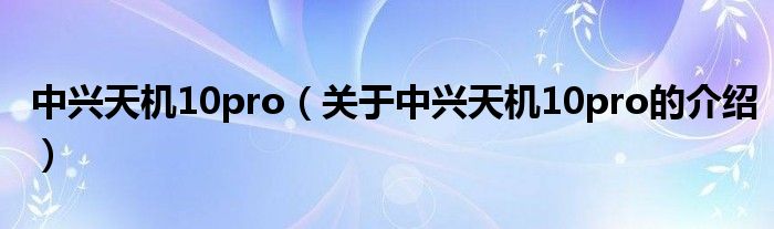 中兴天机10pro（关于中兴天机10pro的介绍）