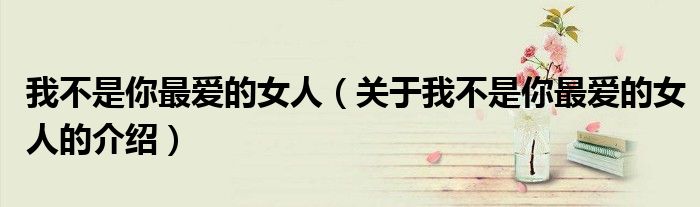 我不是你最爱的女人（关于我不是你最爱的女人的介绍）