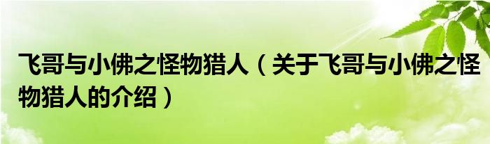 飞哥与小佛之怪物猎人（关于飞哥与小佛之怪物猎人的介绍）
