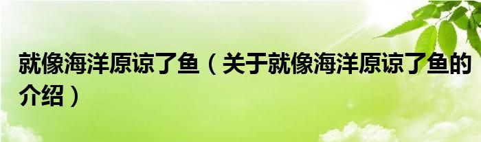 就像海洋原谅了鱼（关于就像海洋原谅了鱼的介绍）