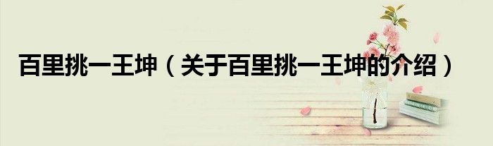 百里挑一王坤（关于百里挑一王坤的介绍）