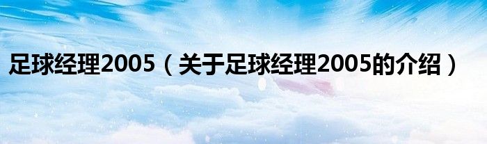 足球经理2005（关于足球经理2005的介绍）