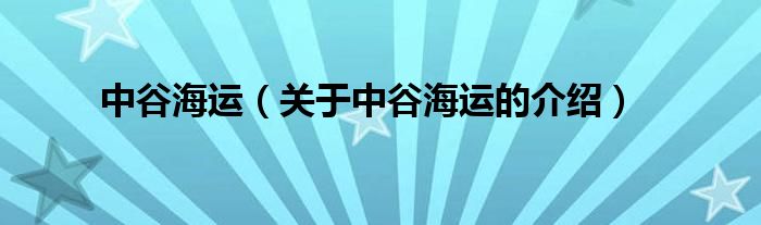 中谷海运（关于中谷海运的介绍）