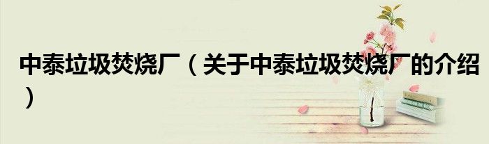 中泰垃圾焚烧厂（关于中泰垃圾焚烧厂的介绍）