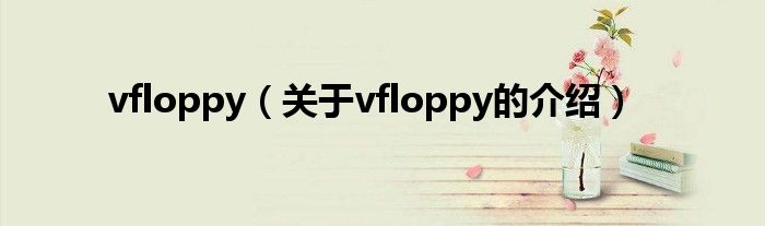 vfloppy（关于vfloppy的介绍）
