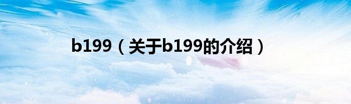 b199（关于b199的介绍）