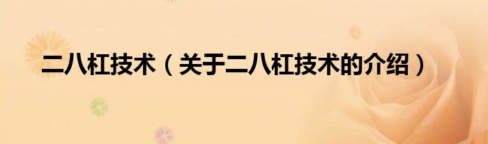 二八杠技术（关于二八杠技术的介绍）