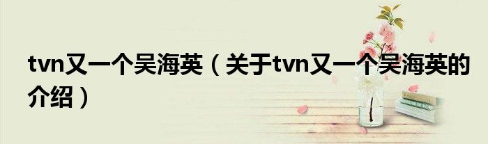 tvn又一个吴海英（关于tvn又一个吴海英的介绍）
