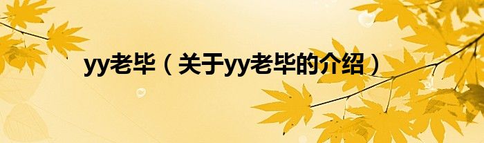 yy老毕（关于yy老毕的介绍）