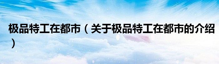 极品特工在都市（关于极品特工在都市的介绍）