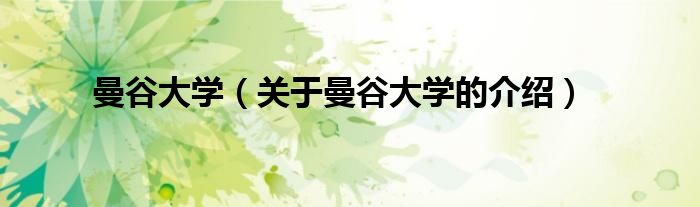 曼谷大学（关于曼谷大学的介绍）