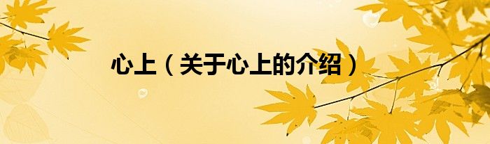 心上（关于心上的介绍）