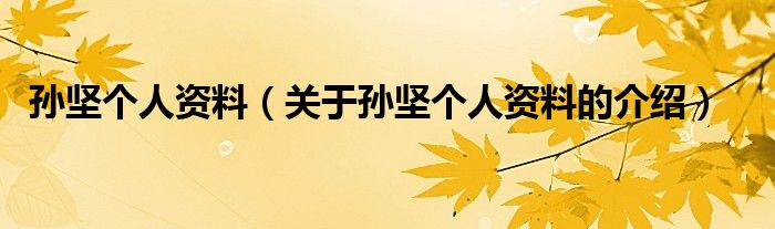 孙坚个人资料（关于孙坚个人资料的介绍）
