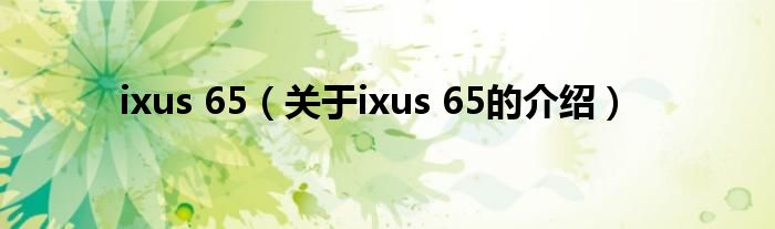 ixus 65（关于ixus 65的介绍）