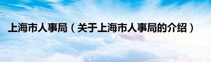 上海市人事局（关于上海市人事局的介绍）