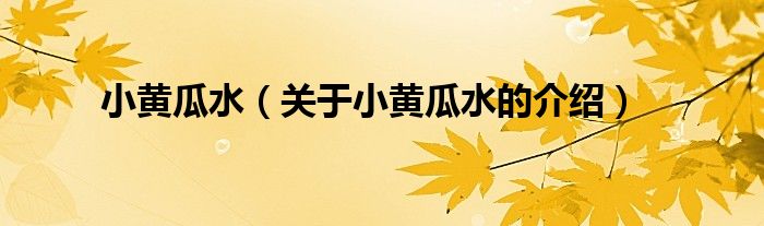 小黄瓜水（关于小黄瓜水的介绍）