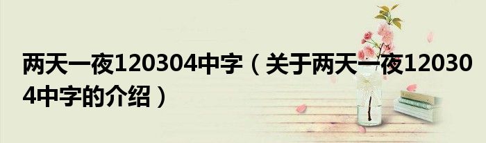 两天一夜120304中字（关于两天一夜120304中字的介绍）